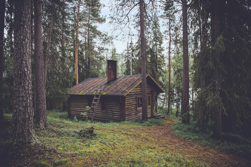 Remote cabin watched on the edge